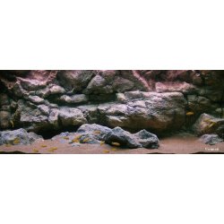 Komodo 198x58 cm incl. baggrundsfilter &amp; pumper