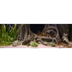 Tropical Forest Tree Trunk 158x58 cm