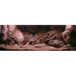 River Stone Modul Q incl. filtermateriale