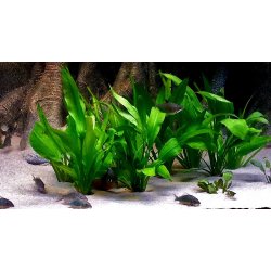 JMB Aqualight Led, 34 cm, 9W, kold hvid/bl�