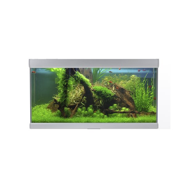 Akvastabil Fusion 576 L, hvid (160x60x60 cm)
