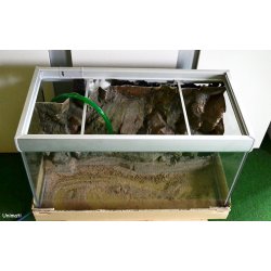 Fusion 144 L med RockZolid Kisar baggrund