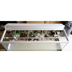 Fusion 720 L med RockZolid Komodo baggrund