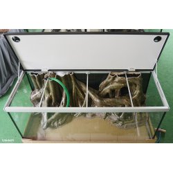 Move 360 L med RockZolid Tree Trunk baggrund