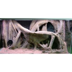 Move 576 L med RockZolid Tree Trunk baggrund