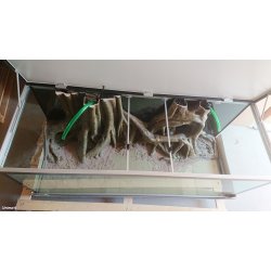 Move 576 L med RockZolid Tree Trunk baggrund