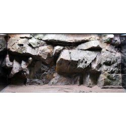 Move 720 L med RockZolid Kisar baggrund