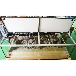 Move 720 L med RockZolid Komodo baggrund