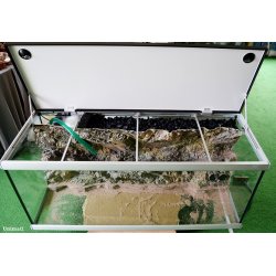 Move 720 L med RockZolid Papua baggrund