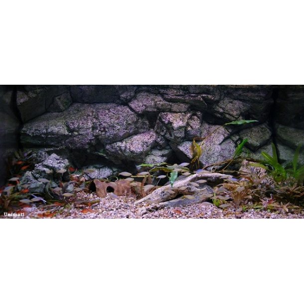 Move 720 L med RockZolid Sumatra baggrund