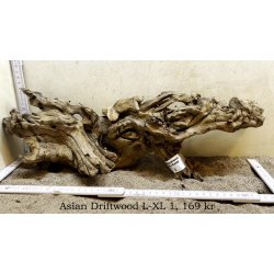 Asian Driftwood Large-XLarge (WYSIWYG)