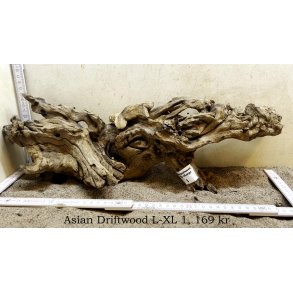 Asian Driftwood Large-XLarge (WYSIWYG)