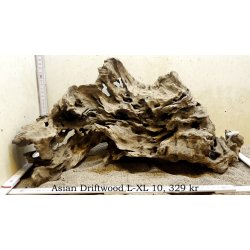 Asian Driftwood Large-XLarge (WYSIWYG)