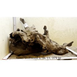 Asian Driftwood Large-XLarge (WYSIWYG)