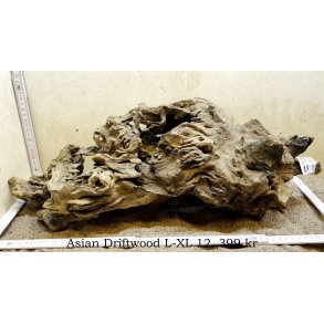 Asian Driftwood Large-XLarge (WYSIWYG)