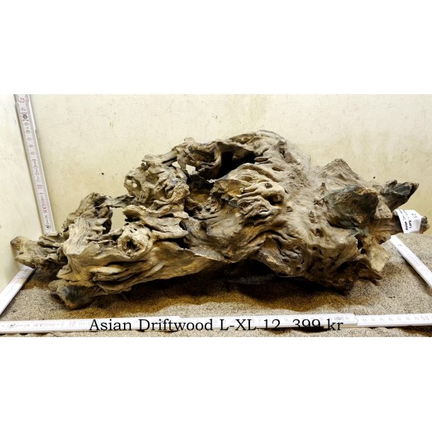 Asian Driftwood Large-XLarge (WYSIWYG)