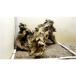Asian Driftwood Large-XLarge (WYSIWYG)