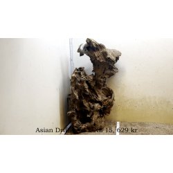 Asian Driftwood Large-XLarge (WYSIWYG)
