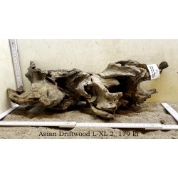 Asian Driftwood Large-XLarge (WYSIWYG)