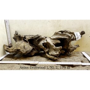 Asian Driftwood Large-XLarge (WYSIWYG)
