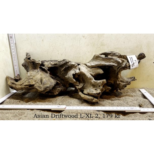 Asian Driftwood Large-XLarge (WYSIWYG)