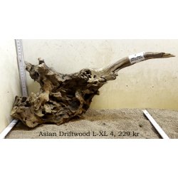 Asian Driftwood Large-XLarge (WYSIWYG)