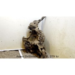 Asian Driftwood Large-XLarge (WYSIWYG)