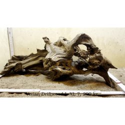 Asian Driftwood Large-XLarge (WYSIWYG)