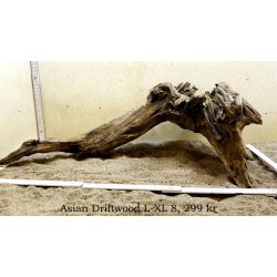 Asian Driftwood Large-XLarge (WYSIWYG)