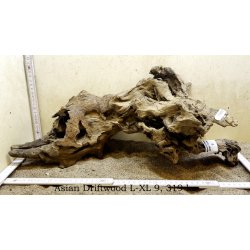 Asian Driftwood Large-XLarge (WYSIWYG)