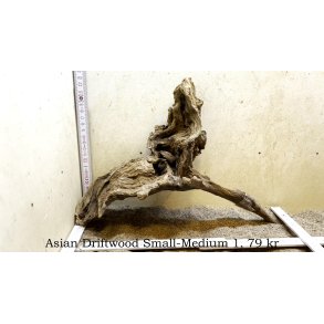Asian Driftwood Small-Medium (WYSIWYG)