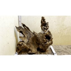 Asian Driftwood Small-Medium (WYSIWYG)