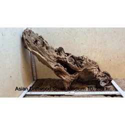 Asian Driftwood Small-Medium (WYSIWYG)