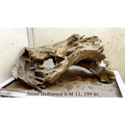 Asian Driftwood Small-Medium (WYSIWYG)