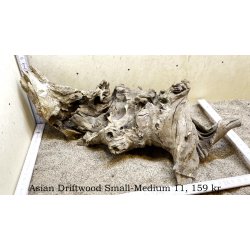 Asian Driftwood Small-Medium (WYSIWYG)