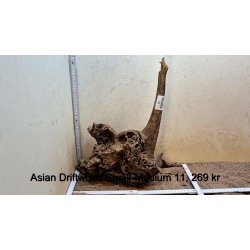 Asian Driftwood Small-Medium (WYSIWYG)