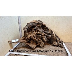 Asian Driftwood Small-Medium (WYSIWYG)