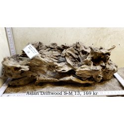 Asian Driftwood Small-Medium (WYSIWYG)