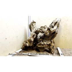 Asian Driftwood Small-Medium (WYSIWYG)