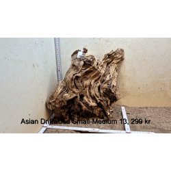 Asian Driftwood Small-Medium (WYSIWYG)