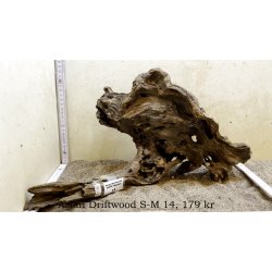 Asian Driftwood Small-Medium (WYSIWYG)