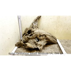 Asian Driftwood Small-Medium (WYSIWYG)