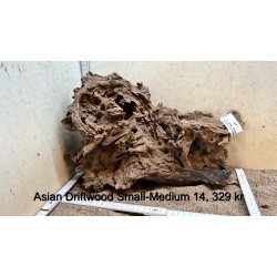 Asian Driftwood Small-Medium (WYSIWYG)