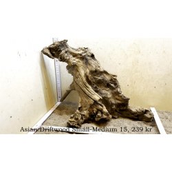 Asian Driftwood Small-Medium (WYSIWYG)