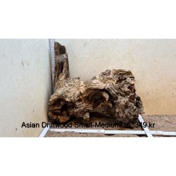 Asian Driftwood Small-Medium (WYSIWYG)