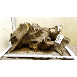 Asian Driftwood Small-Medium (WYSIWYG)