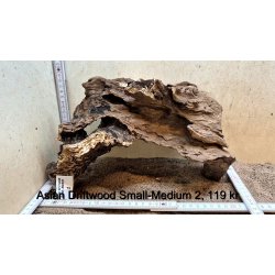 Asian Driftwood Small-Medium (WYSIWYG)