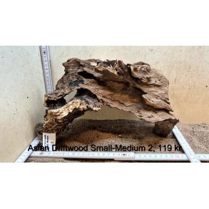 Asian Driftwood Small-Medium (WYSIWYG)