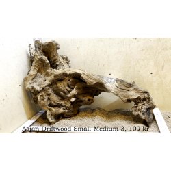 Asian Driftwood Small-Medium (WYSIWYG)