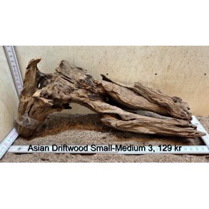 Asian Driftwood Small-Medium (WYSIWYG)